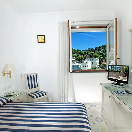 Hotel Syrene 4*