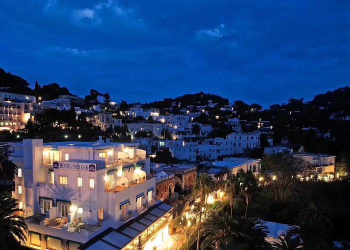 塞莱尼酒店 酒店 4*