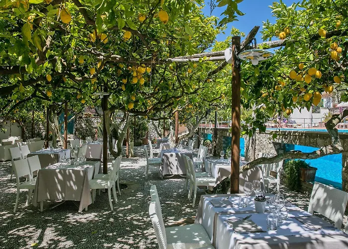 酒店 塞莱尼酒店