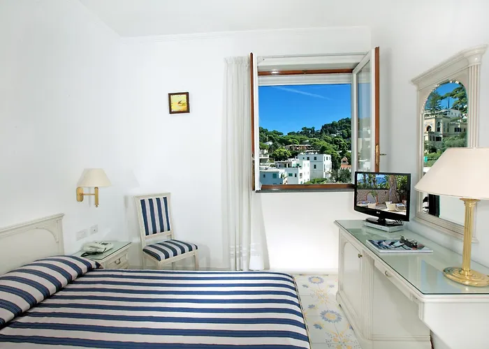 酒店 塞莱尼酒店 4*