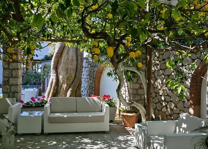 塞莱尼酒店 4* 卡普里