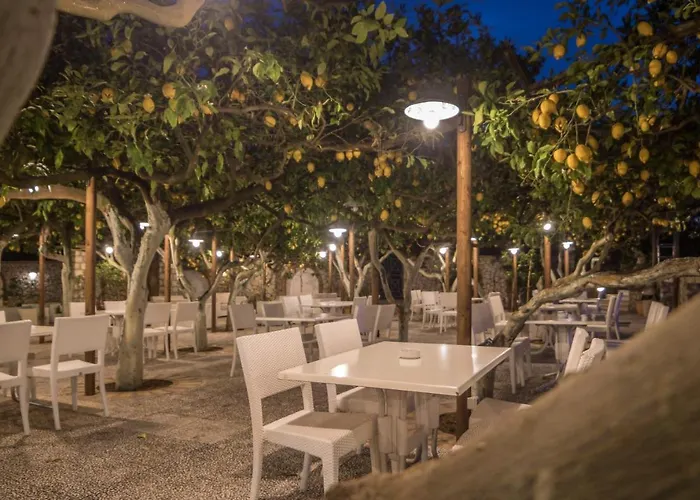 塞莱尼酒店 卡普里