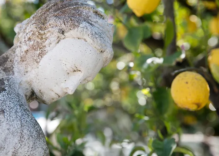 酒店 塞莱尼酒店 卡普里