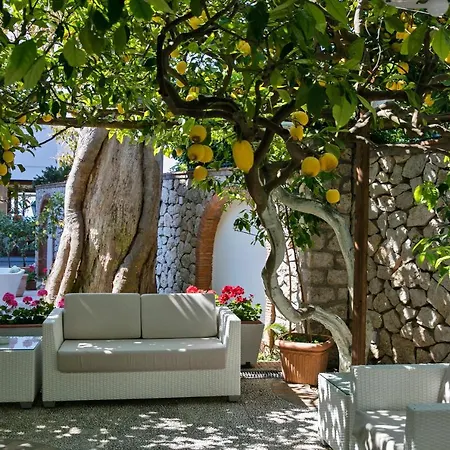 シレーネ 4* カプリ