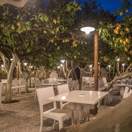 シレーネ カプリ