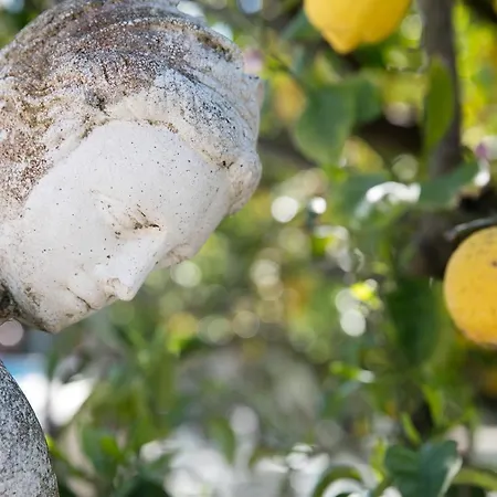 ホテル シレーネ カプリ